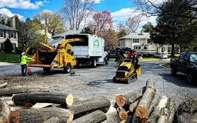 Best Commercial Tree Services  in Coalville, UT